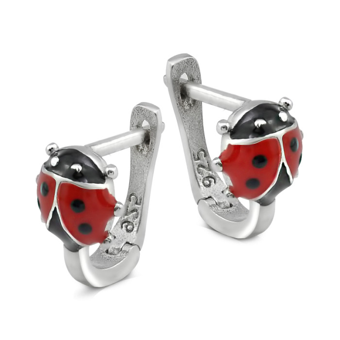 image Sudraba auskari